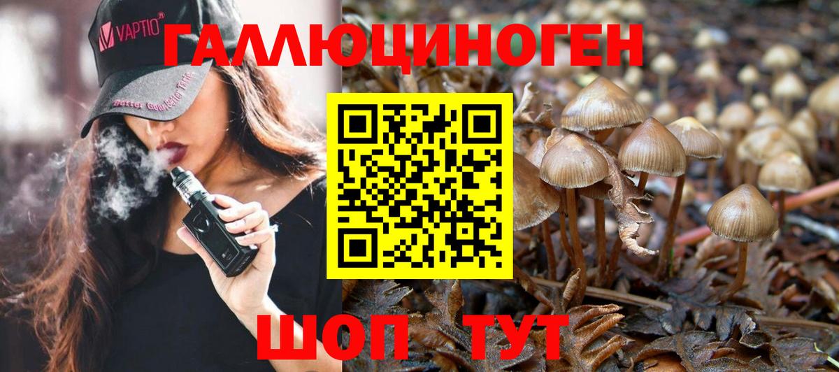 Псилоцибиновые грибы Psilocybine cubensis  Галлюциногенные грибы прущие грибы  Вход с VPN  Северск 