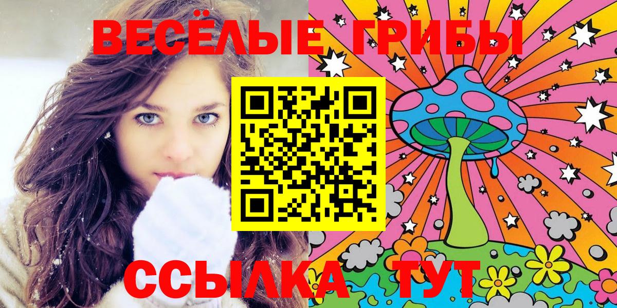 Псилоцибиновые грибы Psilocybine cubensis Северск