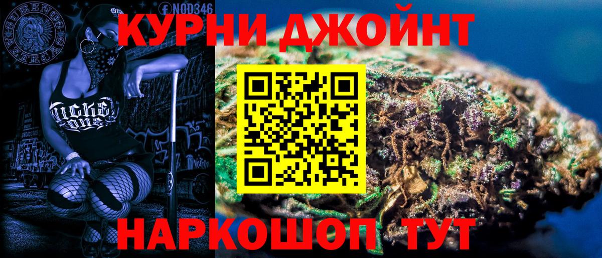 Канабис план  МАРИХУАНА сатива  Вход с VPN  Северск  Бошки марихуана конопля 